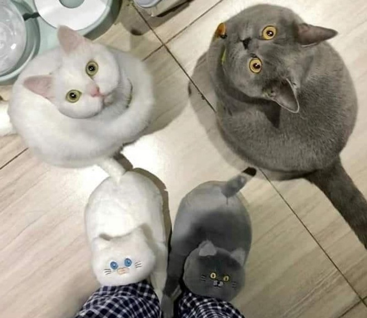 Ketika Aksi Berbicara Lebih Banyak Dari Sekedar Kata